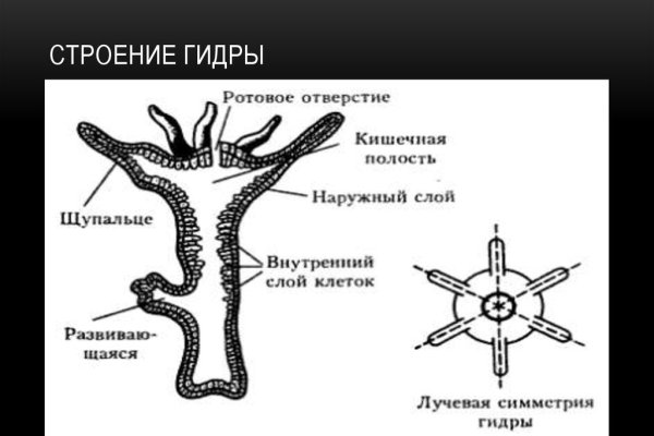 Ссылка кракен kr2web in