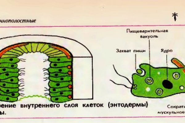 Кракен ссылка тор