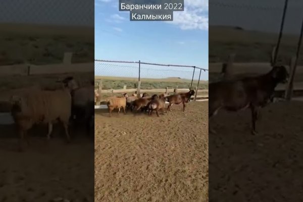 Кракен наркоплощадка