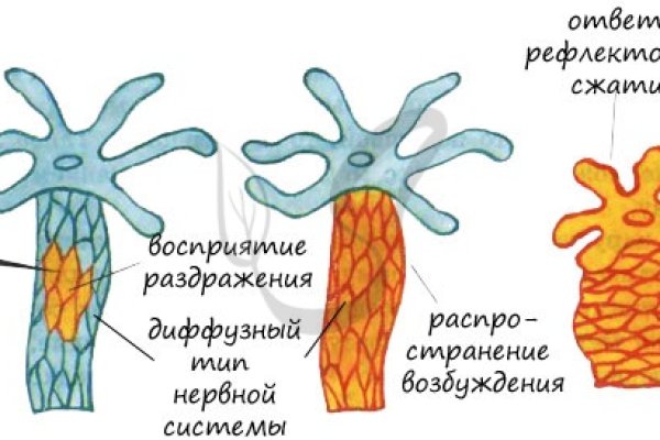 Кракен ссылка onion
