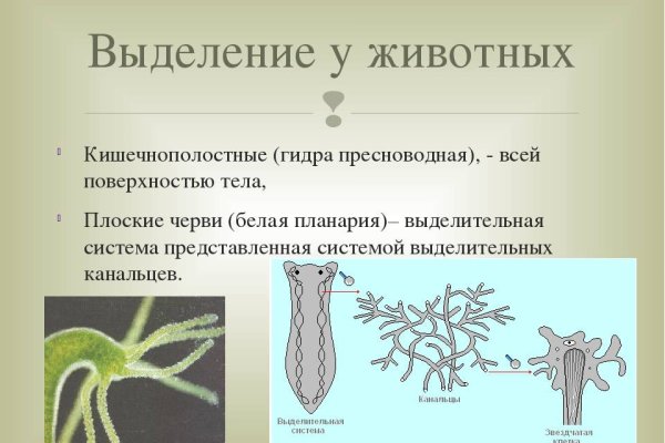 Кракен сайт зеркало рабочее