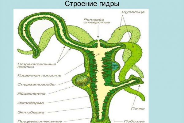 Пользователь не найден кракен