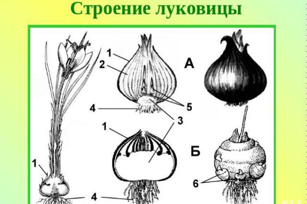 Кракен маркетплейс что продают