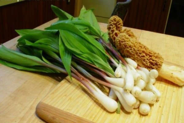Кракен сайт ссылка