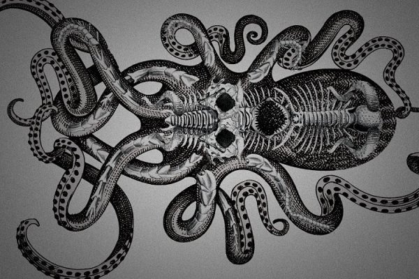 Kraken onion сайта