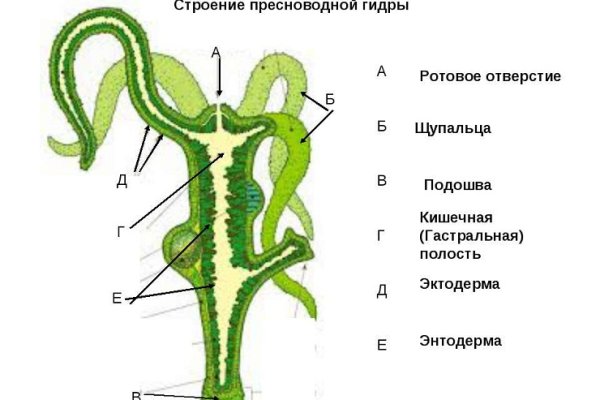 Кракен купить порошок