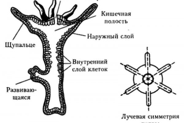 Купить наркотики москва